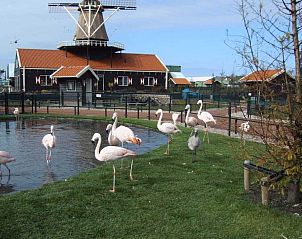 Verblijf 451714 - Vakantiewoning Noordzeekust - 43020