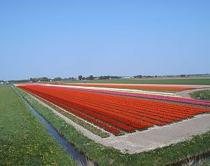 Verblijf 451714 - Vakantiewoning Noordzeekust - 43020