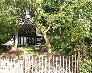 Guest house 451751 - Holiday property Noordzeekust - Vakantiehuis 'Zilte Zee'