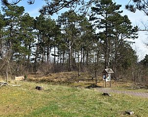 Unterkunft 451886 - Ferienhaus Noordzeekust - Huize Glory Turkoois
