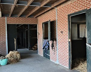 Stallen bij Vakantiehuisje in Burgerbrug, Noordzeekust, Noord-Holland.