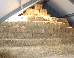 Hooizolder in Vakantiehuisje in Burgerbrug, Noordzeekust, Noord-Holland.