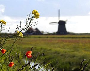 Karakteristieke molen in de omgeving van Vakantiehuis in Burgerbrug, Noordzeekust, Noord-Holland.