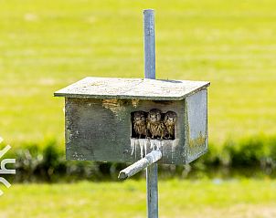 Balkon met panoramisch uitzicht in vakantiehuis NH064, Burgerbrug, Noordzeekust, Noord-Holland.