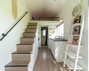 Guest house 452015 - Holiday property Noordzeekust - Tiny House