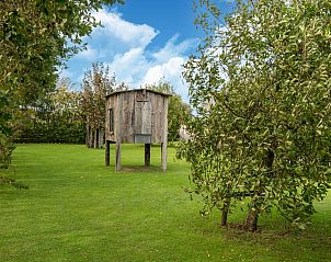 Guest house 452015 - Holiday property Noordzeekust - Tiny House