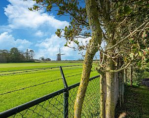 Guest house 452015 - Holiday property Noordzeekust - Tiny House