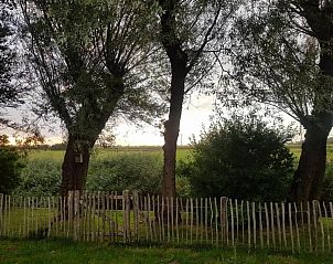 Guest house 452017 - Holiday property Noordzeekust - Vogelvrij 5