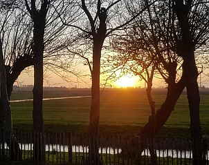 Guest house 452017 - Holiday property Noordzeekust - Vogelvrij 5