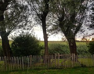 Guest house 452017 - Holiday property Noordzeekust - Vogelvrij 5