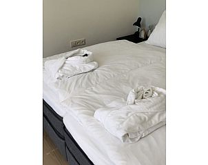 Verblijf 452504 - Vakantiewoning Noordzeekust - 437550