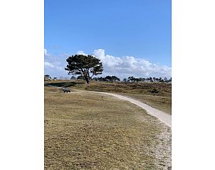Verblijf 452504 - Vakantiewoning Noordzeekust - 437550