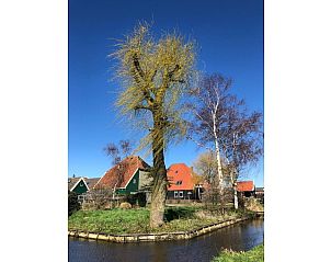 Verblijf 452614 - Vakantiewoning Noordzeekust - 169161