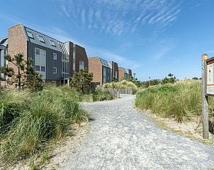 Guest house 452720 - Holiday property Noordzeekust - Duinerei A202