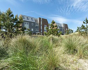 Guest house 452720 - Holiday property Noordzeekust - Duinerei A202