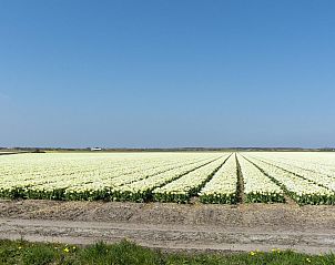 Unterkunft 452724 - Ferienhaus Noordzeekust - Sandepark 93