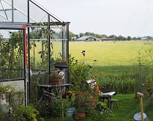 Groene kas en bloemen in Huisje in Schagerbrug, Noord-Hollandse vakantiewoning.