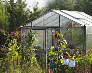 Kleurrijke tuin met kas in Huisje in Schagerbrug, Noord-Holland.
