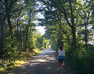 Fietspad door de natuur nabij Huisje in Schagerbrug, Noord-Hollandse vakantiewoning.