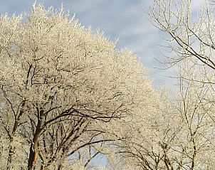 Sneeuwlandschap rondom Huisje in Schagerbrug, vakantieaccommodatie aan de Noordzeekust.