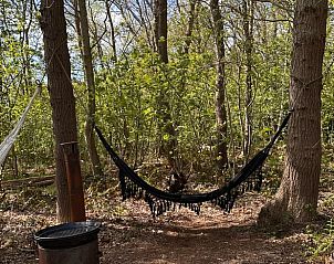Hangmat tussen bomen bij Vakantiehuisje in Schagerbrug, Noordzeekust, Noord-Holland.