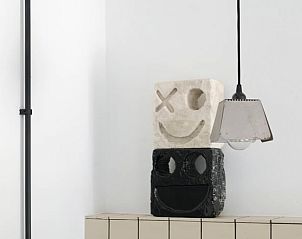 Decoratieve elementen in keuken van Vakantiehuisje in Schagerbrug, Noordzeekust, Noord-Holland met uniek design.