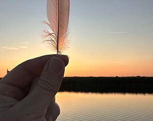 Houten wandelpad in de natuur bij Vakantiehuisje in Schagerbrug, Noordzeekust, Noord-Holland voor ontspanning.