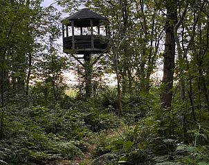 Bloeiende bloemen in de tuin van Vakantiehuisje in Schagerbrug, Noordzeekust, Noord-Holland voor een kleurrijk uitzicht.