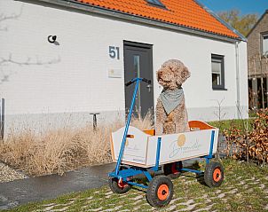 Verblijf 452937 - Vakantiewoning Noordzeekust - Buiten aan Zee - 54