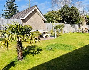 Guest house 453030 - Holiday property Noordzeekust - Vakantiehuis Arthouse Lola & Luna
