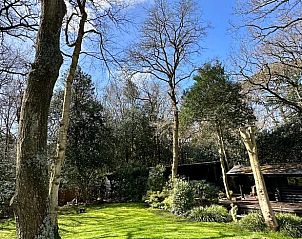 Guest house 453045 - Holiday property Noordzeekust - Vakantiehuis in Bergen