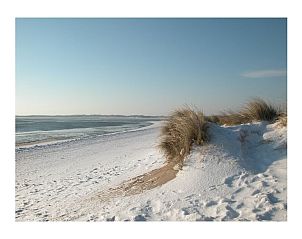 Verblijf 453066 - Vakantiewoning Noordzeekust - 329544