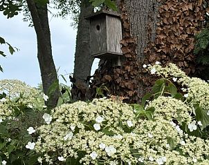 Verblijf 453086 - Vakantiewoning Noordzeekust - 235438