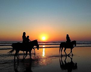 Guest house 453311 - Holiday property Noordzeekust - Vakantiehuis Strandhaus direkt am Meer