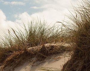 Guest house 453311 - Holiday property Noordzeekust - Vakantiehuis Strandhaus direkt am Meer