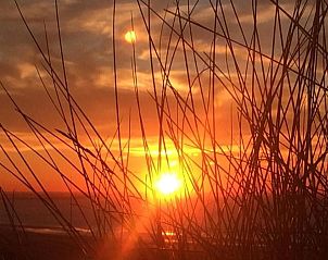 Guest house 453311 - Holiday property Noordzeekust - Vakantiehuis Strandhaus direkt am Meer