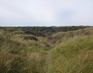 Guest house 453311 - Holiday property Noordzeekust - Vakantiehuis Strandhaus direkt am Meer