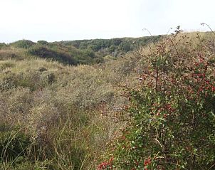 Guest house 453311 - Holiday property Noordzeekust - Vakantiehuis Strandhaus direkt am Meer