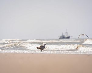 Guest house 453320 - Holiday property Noordzeekust - Resort Beach Houses Wijk aan Zee 3