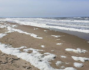 Guest house 453322 - Holiday property Noordzeekust - Resort Beach Houses Wijk aan Zee 5