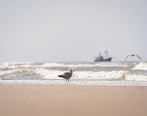Verblijf 453323 - Vakantiewoning Noordzeekust - Resort Beach Houses Wijk aan Zee 6