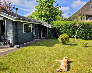 Guest house 453715 - Holiday property Noordzeekust - Vakantiehuis Knusperhaus