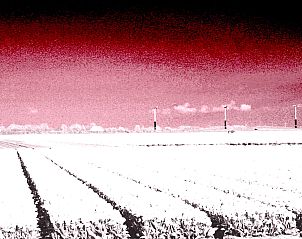 Guest house 453733 - Holiday property Noordzeekust - Campanula 39 Sint Maartenszee