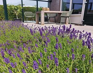 Verblijf 453750 - Vakantiewoning Noordzeekust - Eureka 102