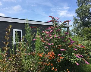 Guest house 453759 - Holiday property Noordzeekust - 140588