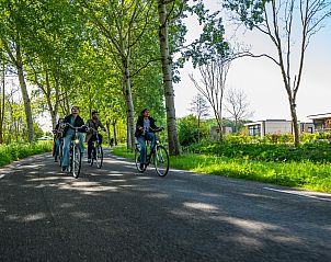 Unterkunft 453814 - Ferienhaus Noordzeekust - EuroParcs Buitenhuizen
