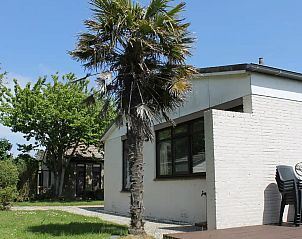Unterkunft 4540128 - Bungalow Noordzeekust - Bungalow Zonnegroet