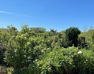 Guest house 4540219 - Bungalow Noordzeekust - De Zandloper 32 Julianadorp aan Zee