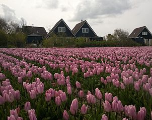 Guest house 454046 - Holiday property Noordzeekust - Vakantiehuis 