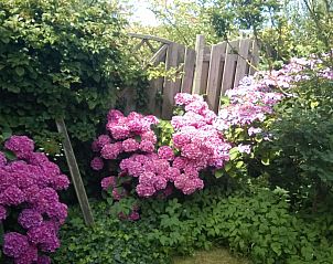 Guest house 454046 - Holiday property Noordzeekust - Vakantiehuis 